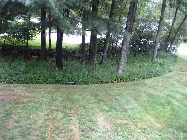 111 Hollytree Road Stoughton, MA 02072 - Photo 13 of 15 Gallery Image 13