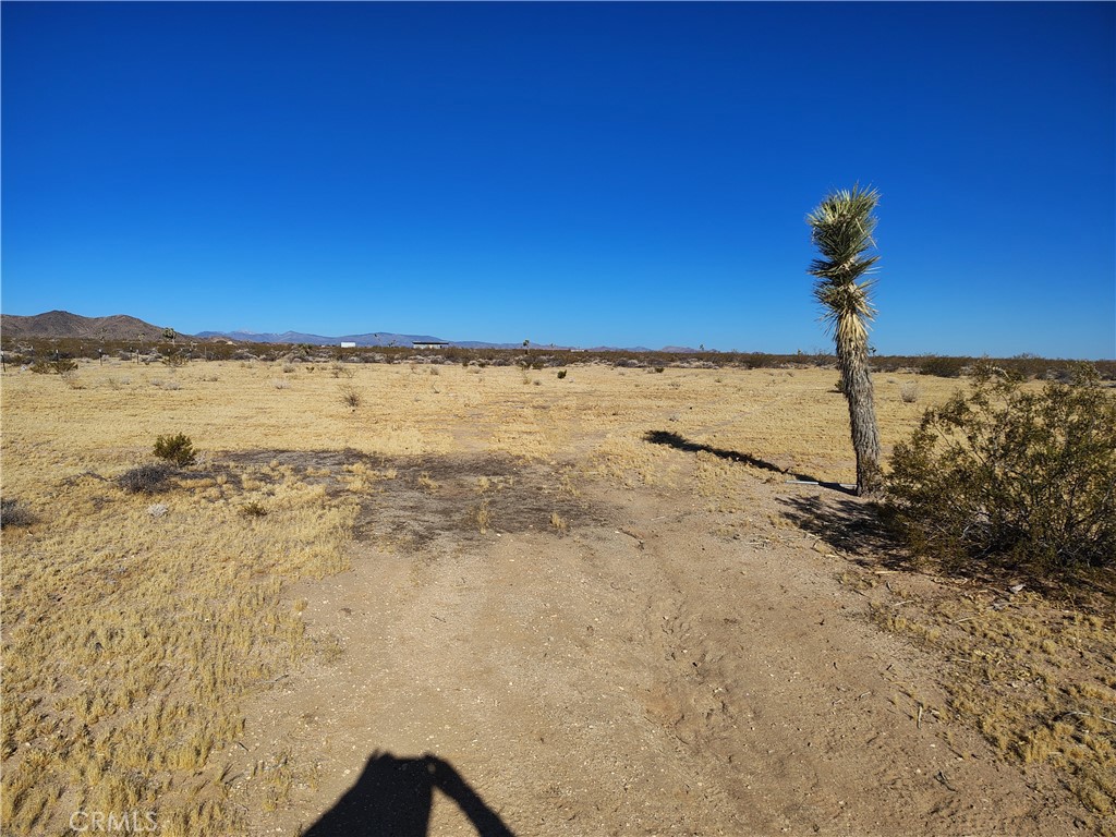 408 Stable Landers, CA 92285 - Photo 2 of 3