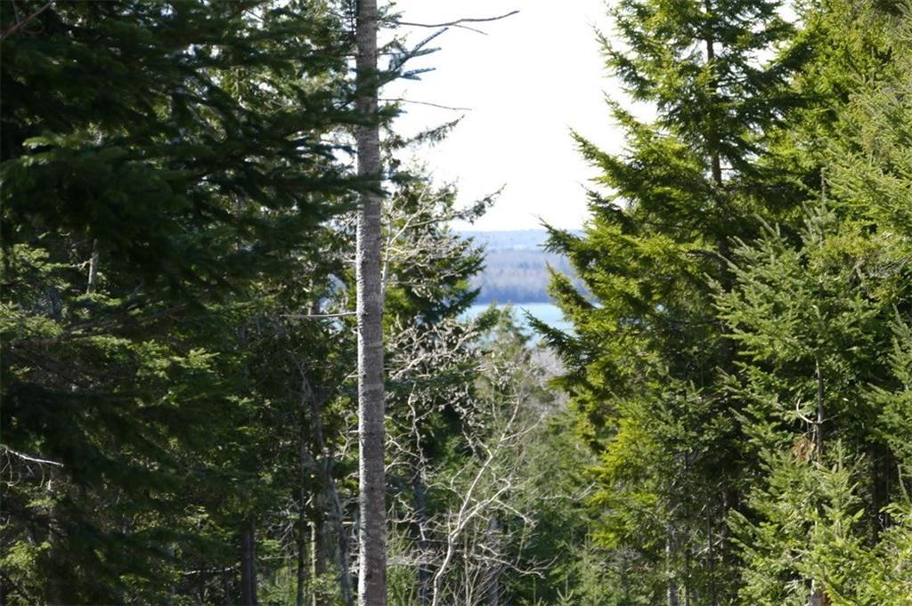 0 Foxfields Farm Road Bar Harbor, ME 04609 - Photo 12 of 18 Photo