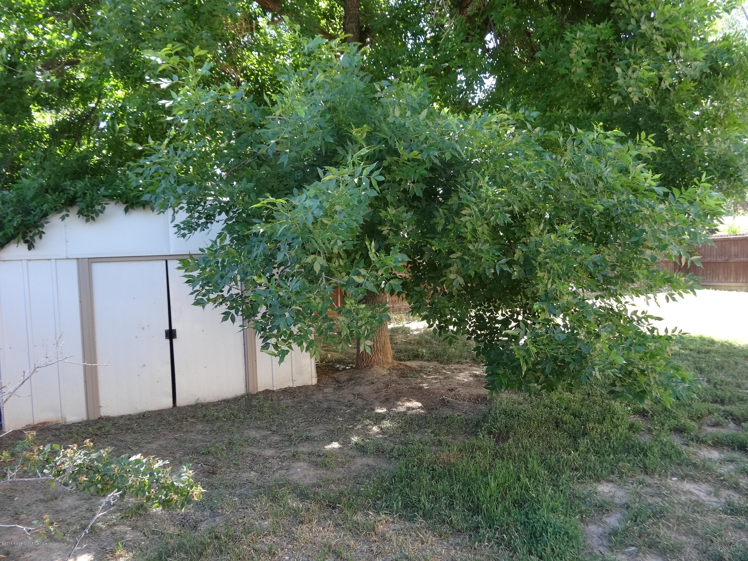416 Will Avenue Rifle, CO 81650 - Photo 13 of 14 a view of a yard with plants and tree