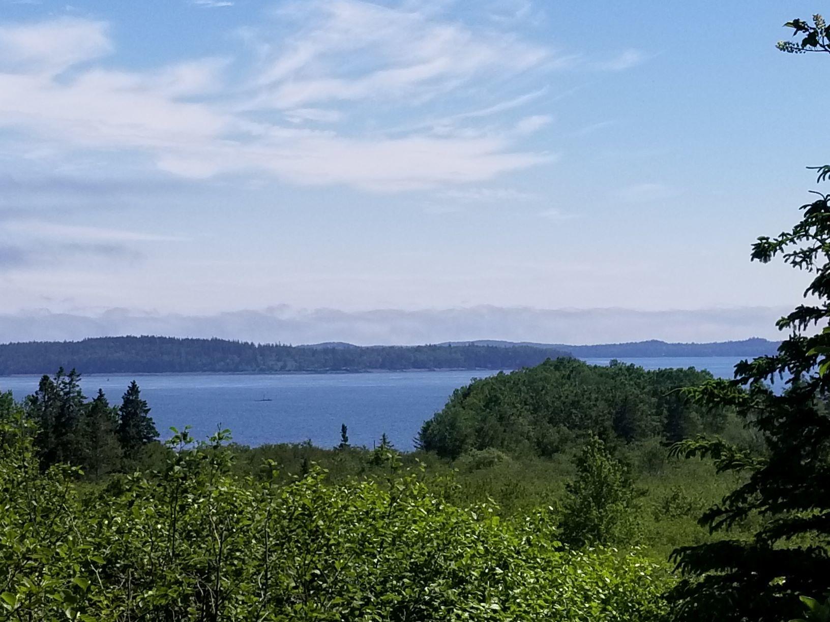 0 Lincoln Cove Road Perry, ME 04667 - Photo 11 of 53 Cobscook Bay view 2