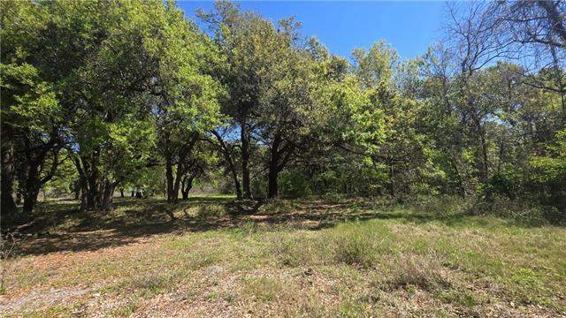 147 Wilson Lane Braithwaite, LA 70040 - Photo 6 of 8