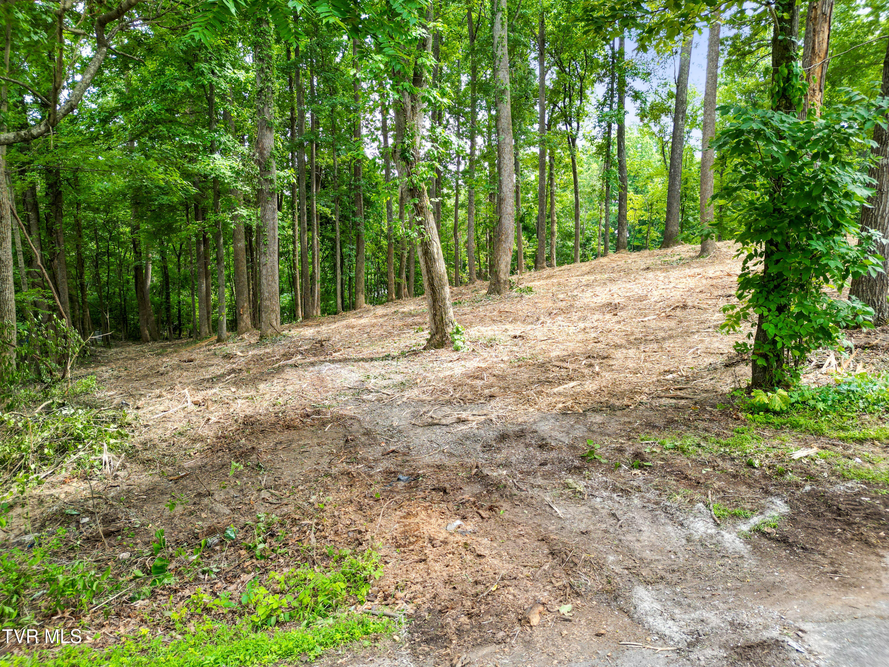 1-acre J Mell Johnson Road, Unit 4R Greeneville, TN 37745 - Photo 11 of 13 DJI_0063