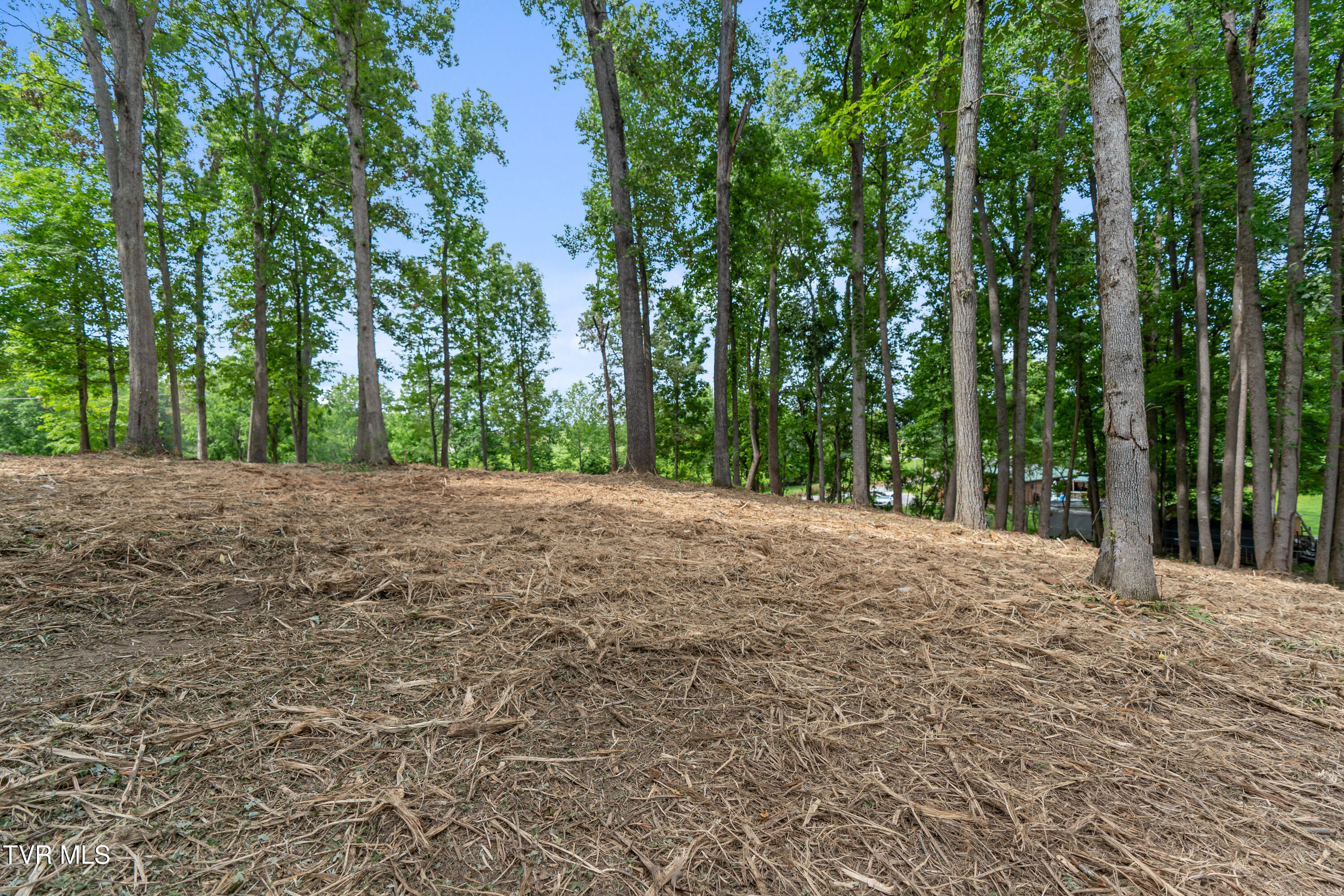 1-acre J Mell Johnson Road, Unit 4R Greeneville, TN 37745 - Photo 2 of 13 DSC09049