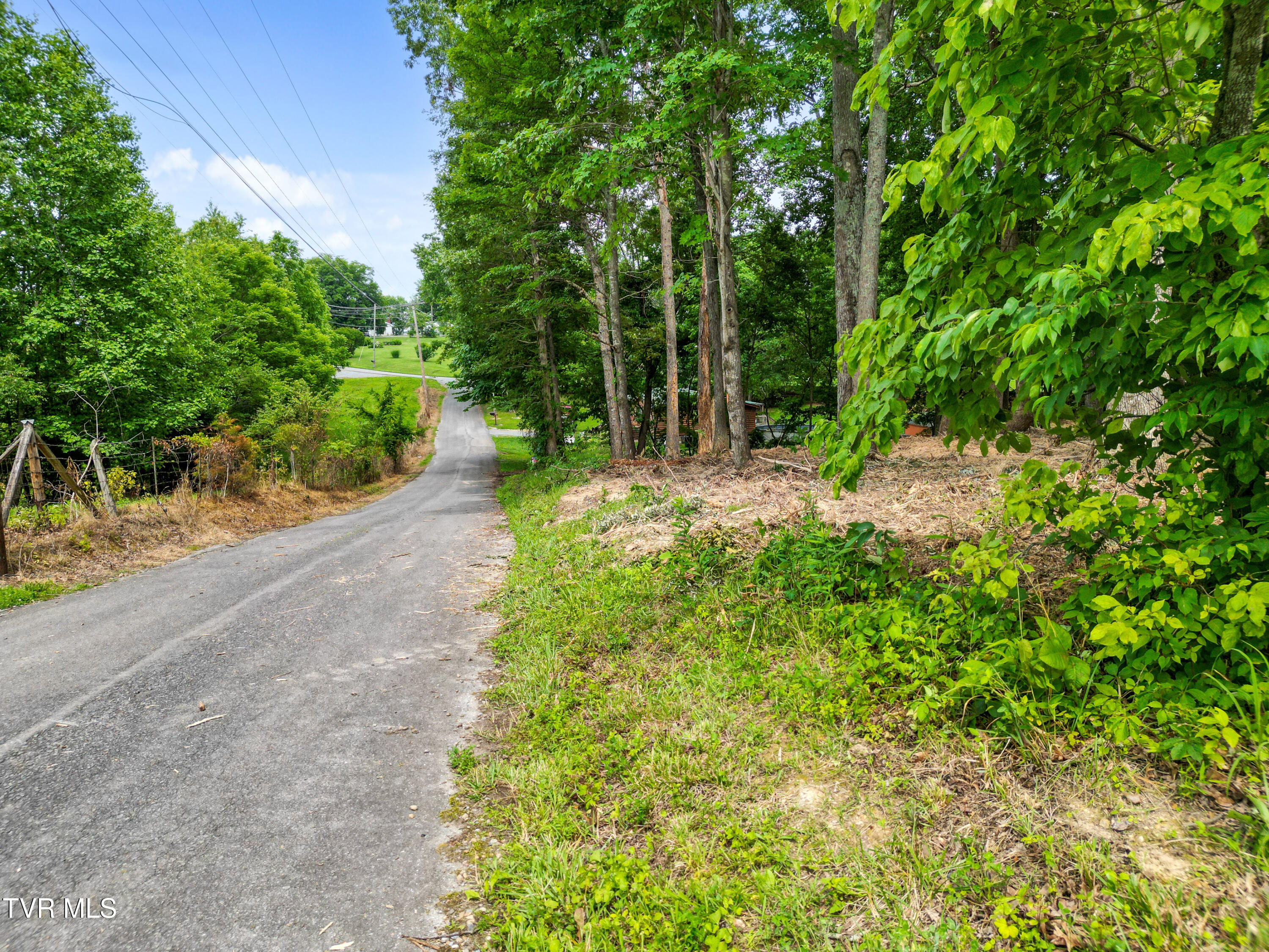 1-acre J Mell Johnson Road, Unit 4R Greeneville, TN 37745 - Photo 5 of 13 DJI_0061
