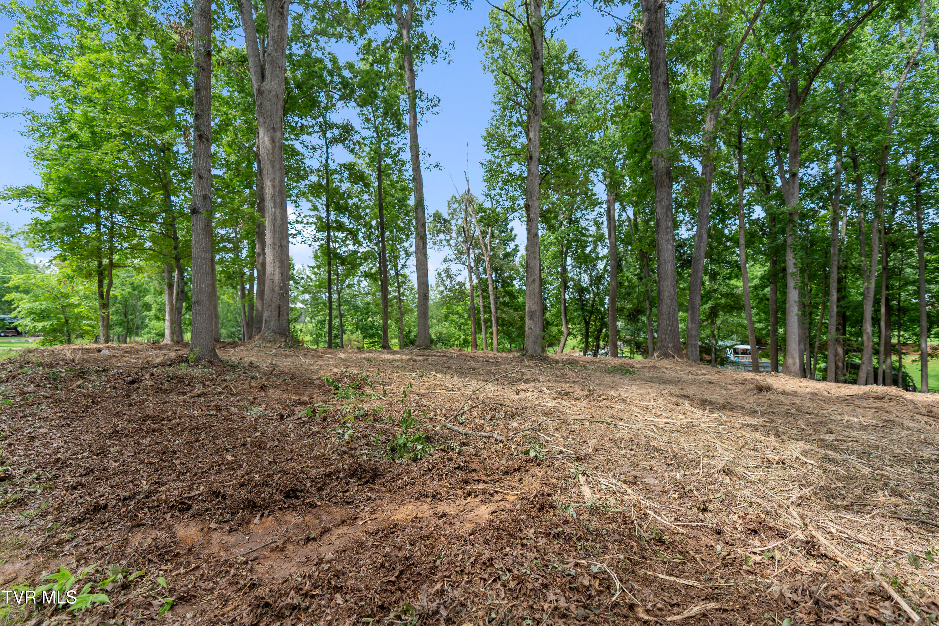 1-acre J Mell Johnson Road, Unit 4R Greeneville, TN 37745 - Photo 7 of 13 DSC09046