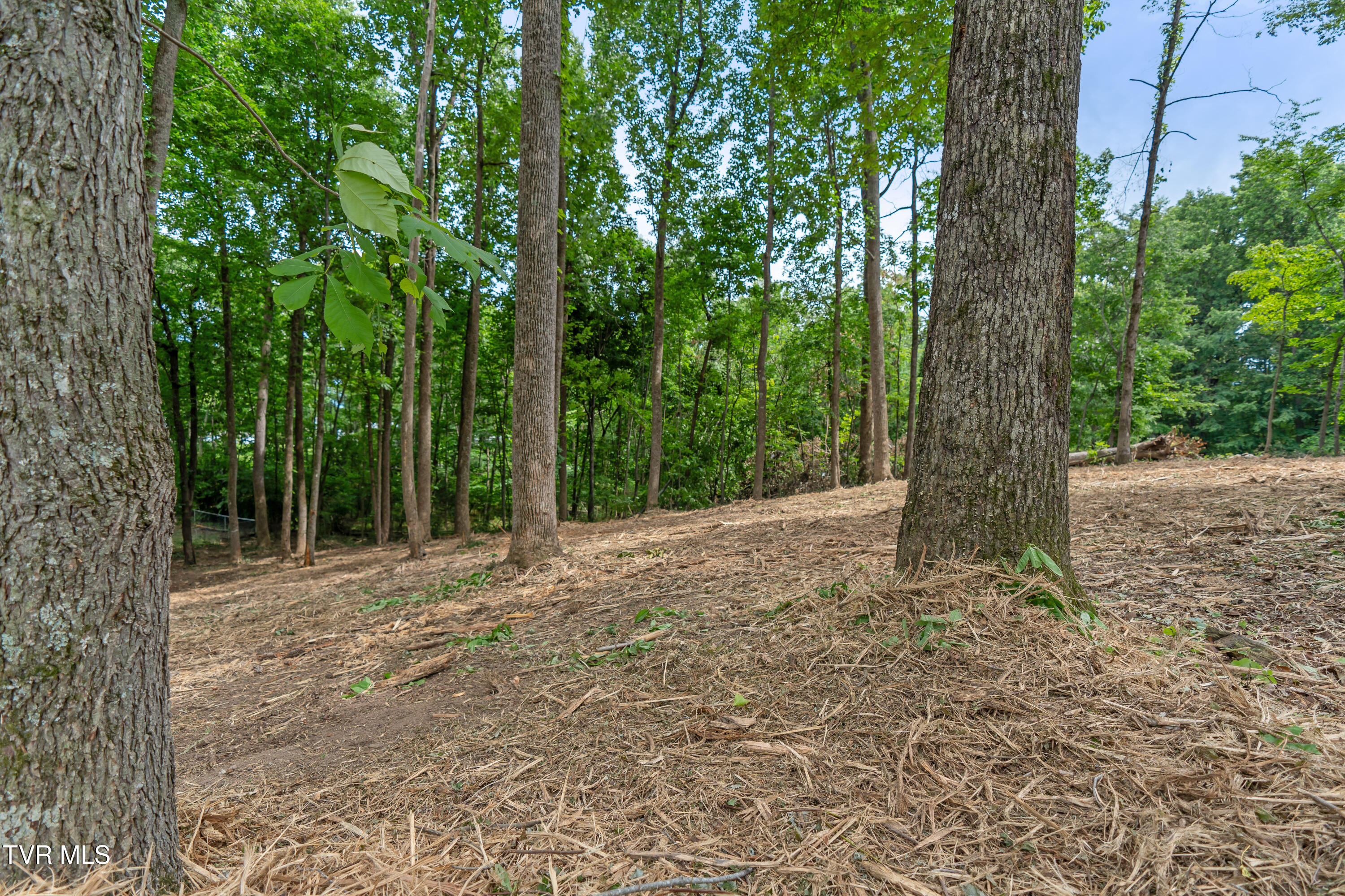 1-acre J Mell Johnson Road, Unit 4R Greeneville, TN 37745 - Photo 10 of 13 DSC09061