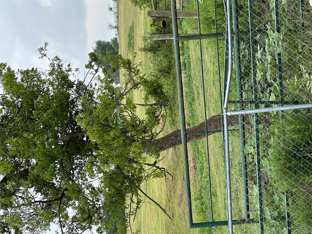 3007 County Road 303 Jarrell, TX 76537 - Photo 31 of 36 a view of a field with a tree