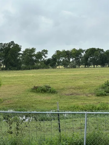 a view of a field with a tree