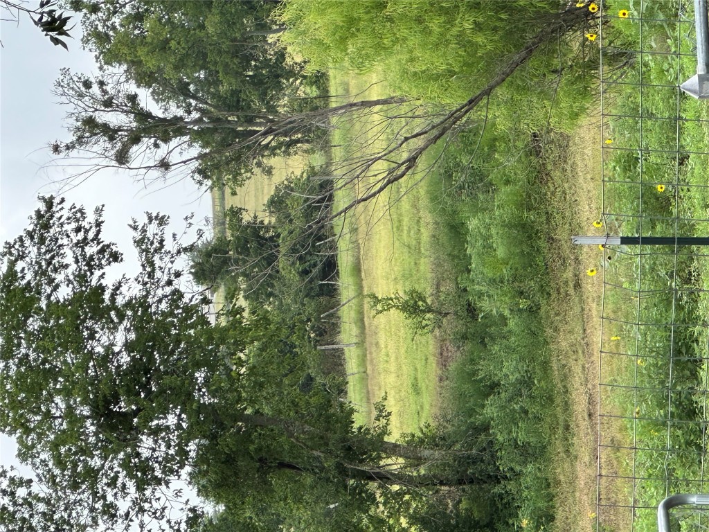 3007 County Road 303 Jarrell, TX 76537 - Photo 34 of 36 a view of a field with a tree