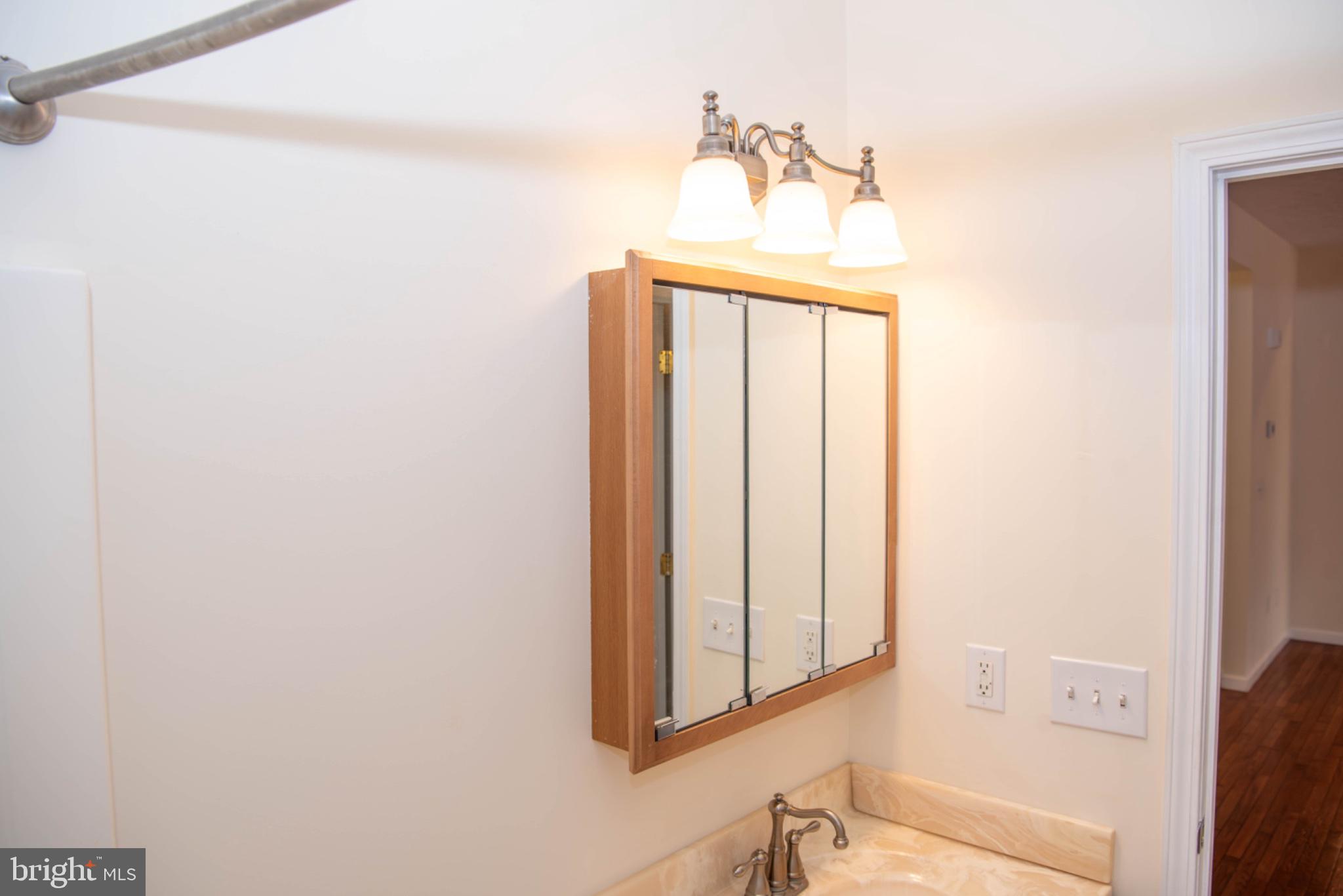 792 Forest Glen Road Moorefield, WV 26836 - Photo 51 of 146 Elegant bathroom with modern fixtures.