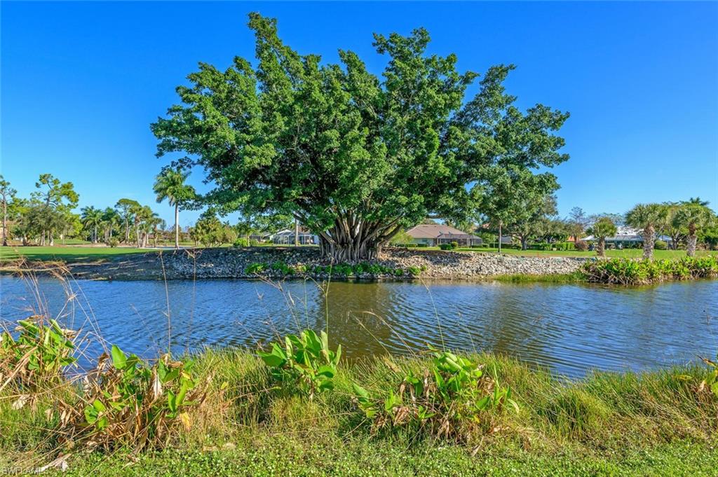 239 Torrey Pines Point Naples, FL 34113 - Photo 2 of 36 a view of a lake with a big yard