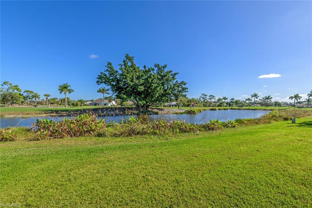 239 Torrey Pines Point Naples, FL 34113 - Photo 3 of 36 a view of a lake with houses in the background