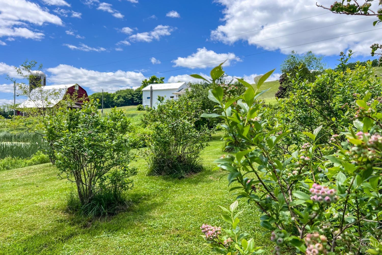 624 Brownell Road Kortright, NY 13739 - Photo 55 of 98 Photo 55