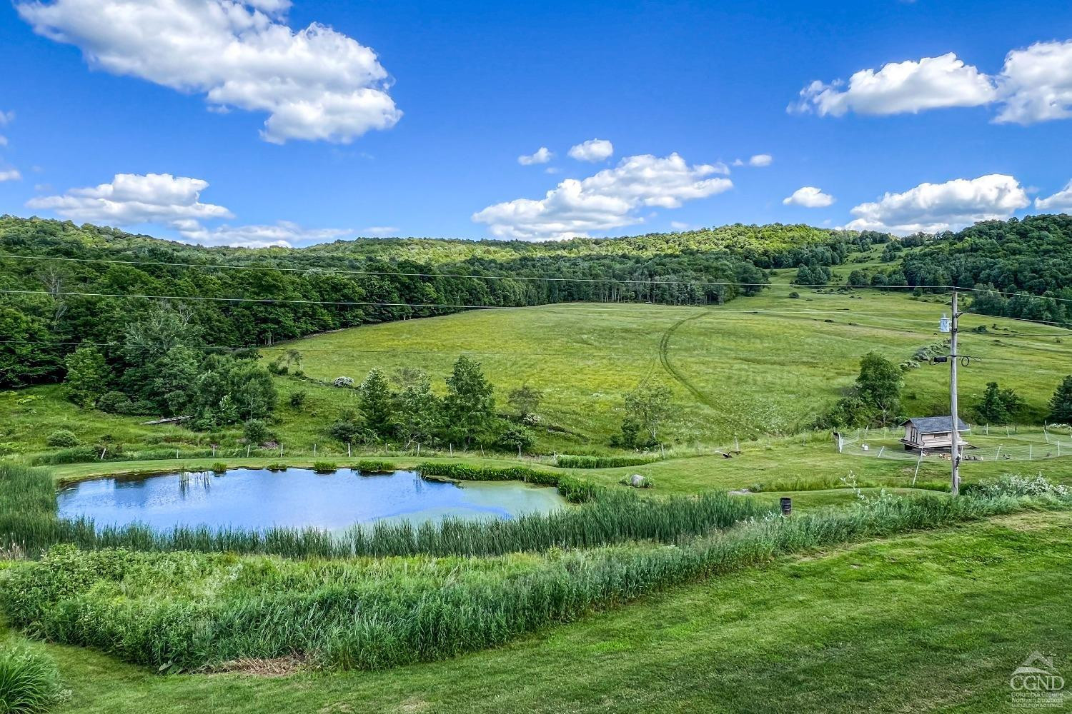624 Brownell Road Kortright, NY 13739 - Photo 59 of 98 Photo 59