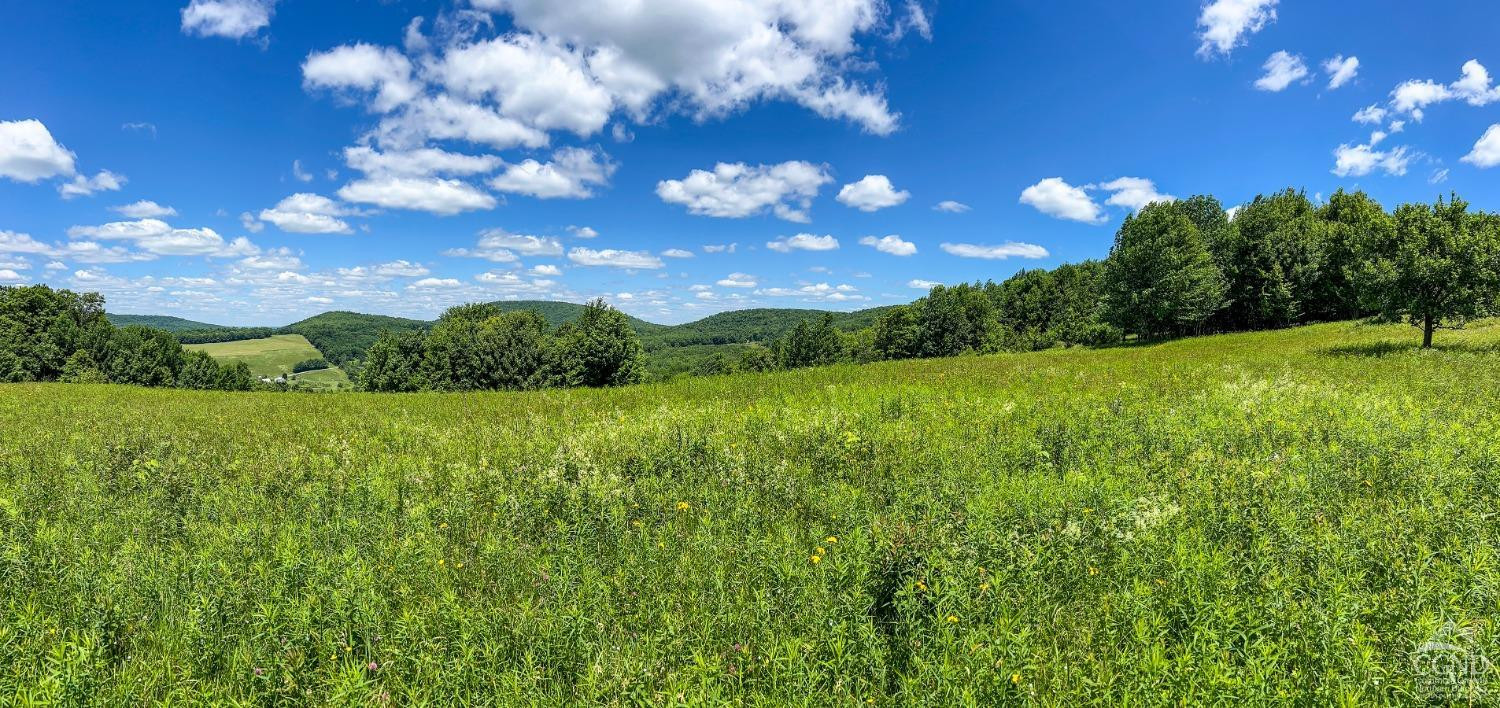 624 Brownell Road Kortright, NY 13739 - Photo 71 of 98 Photo 71