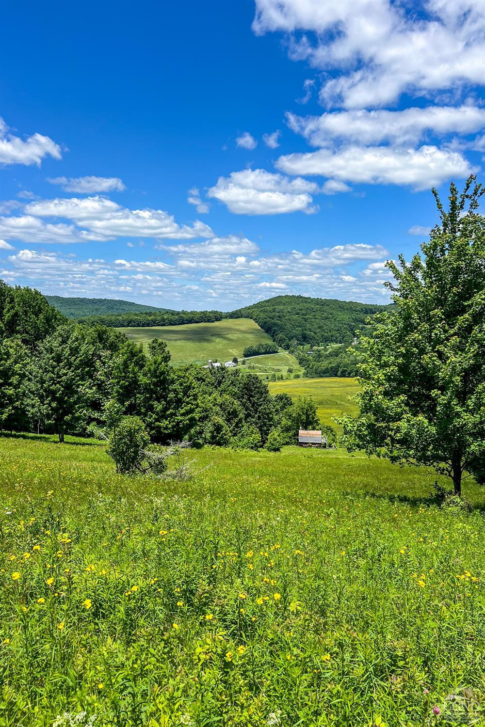 624 Brownell Road Kortright, NY 13739 - Photo 73 of 98 Photo 73
