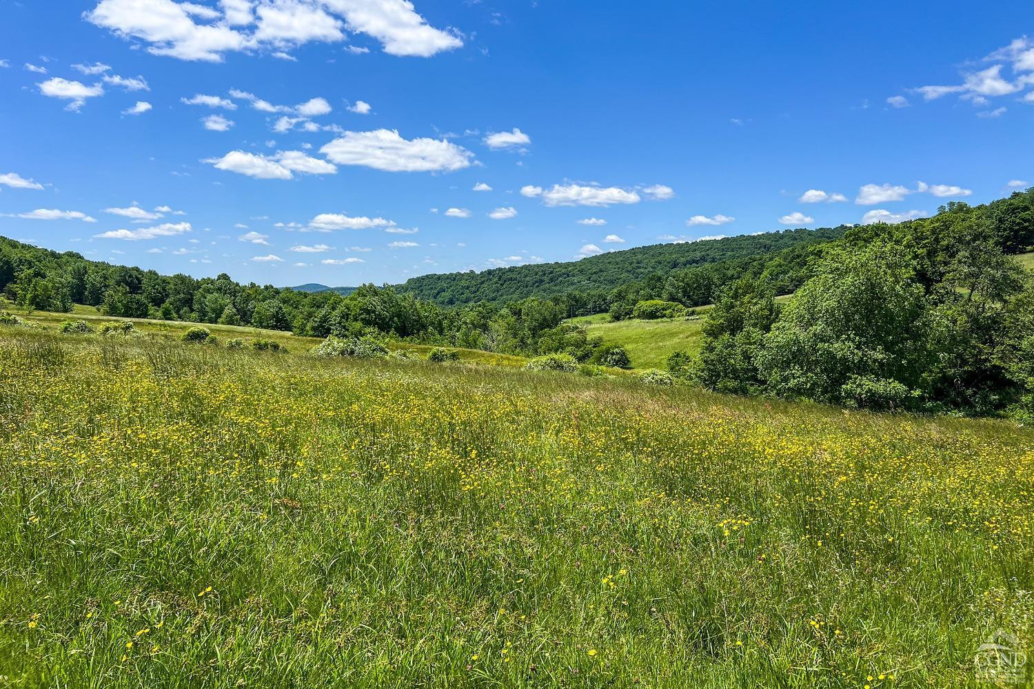 624 Brownell Road Kortright, NY 13739 - Photo 75 of 98 Photo 75