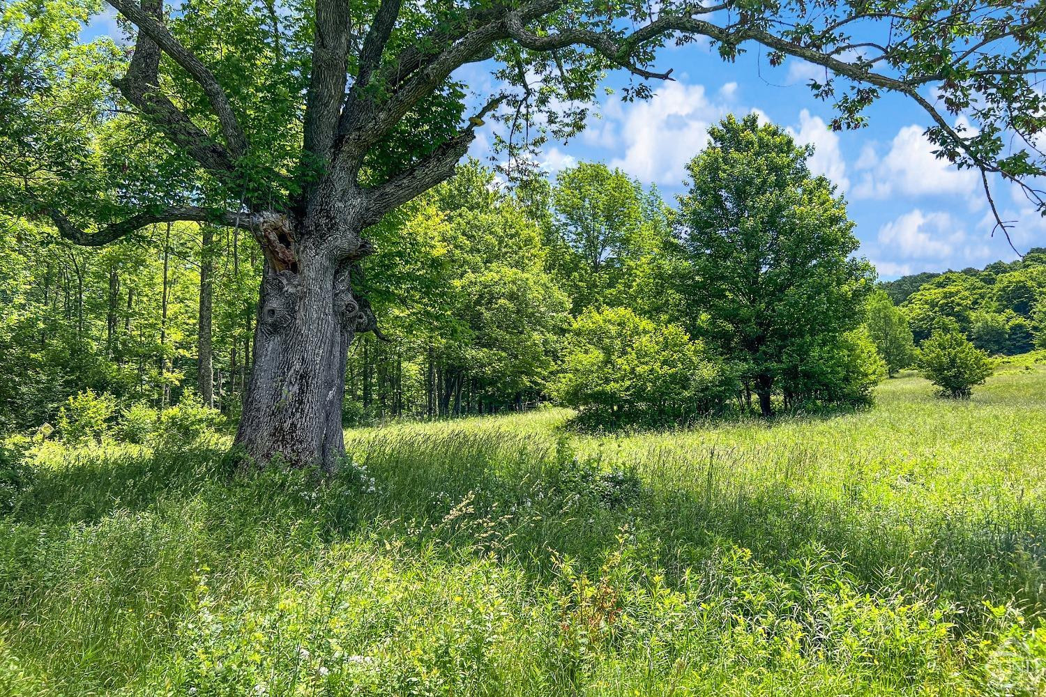 624 Brownell Road Kortright, NY 13739 - Photo 76 of 98 Photo 76
