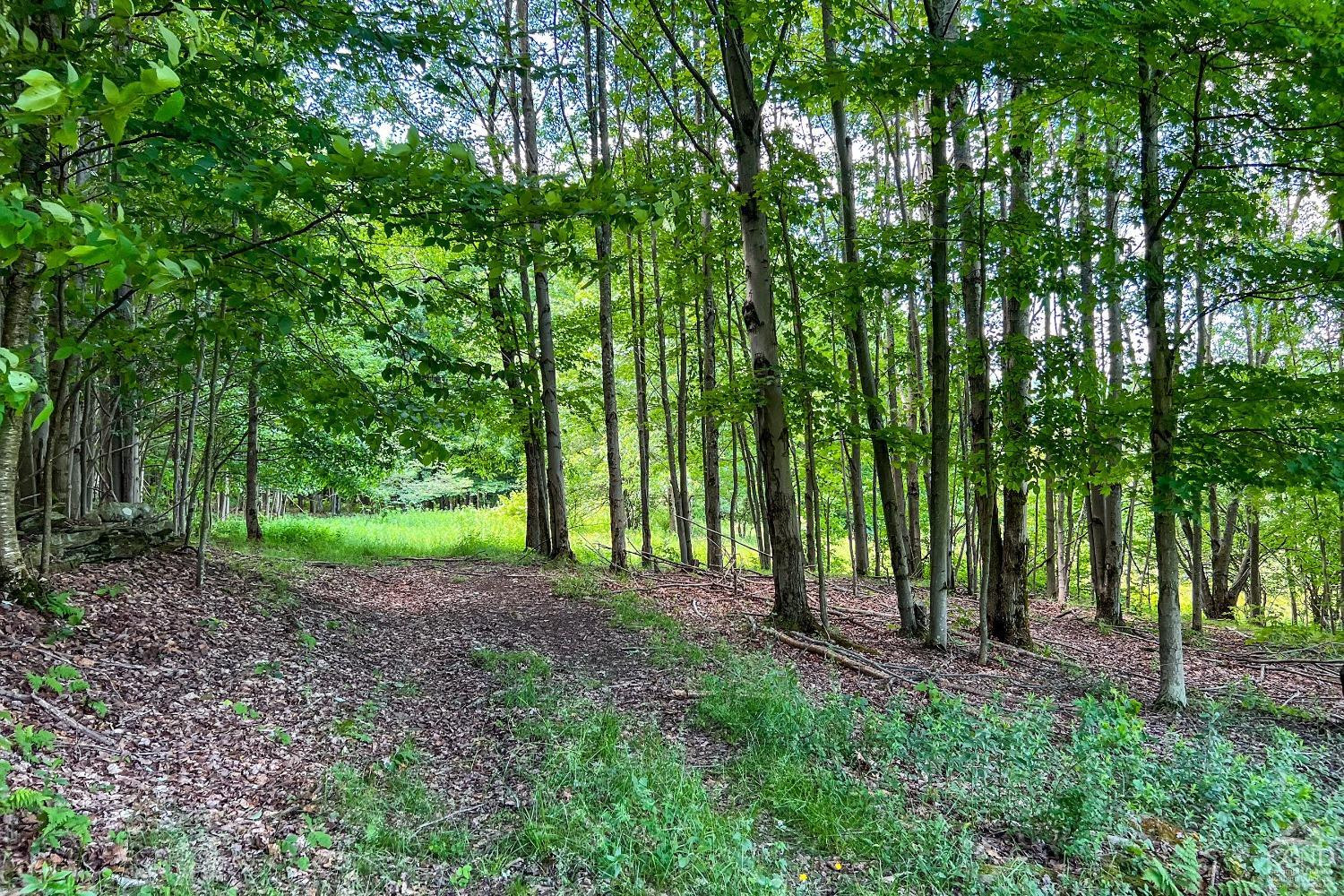 624 Brownell Road Kortright, NY 13739 - Photo 77 of 98 Photo 77
