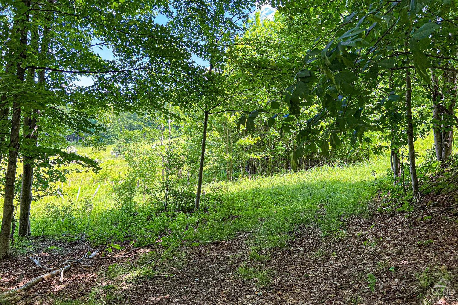 624 Brownell Road Kortright, NY 13739 - Photo 78 of 98 Photo 78