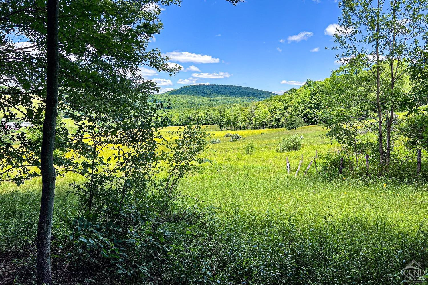 624 Brownell Road Kortright, NY 13739 - Photo 79 of 98 Photo 79
