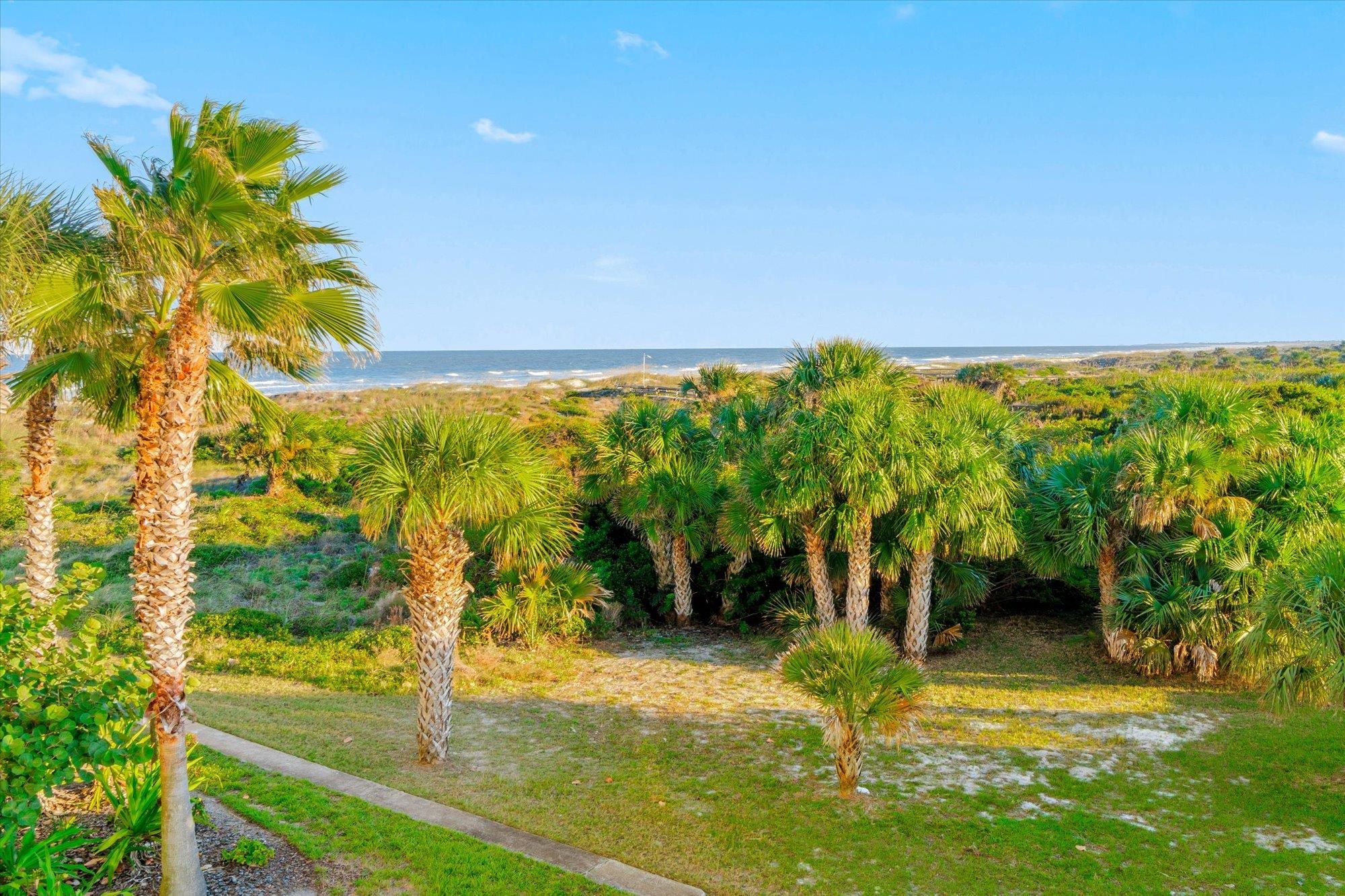 1 Ocean Trace Road, Unit 242 St. Augustine, FL 32080 - Photo 48 of 66 a view of a yard