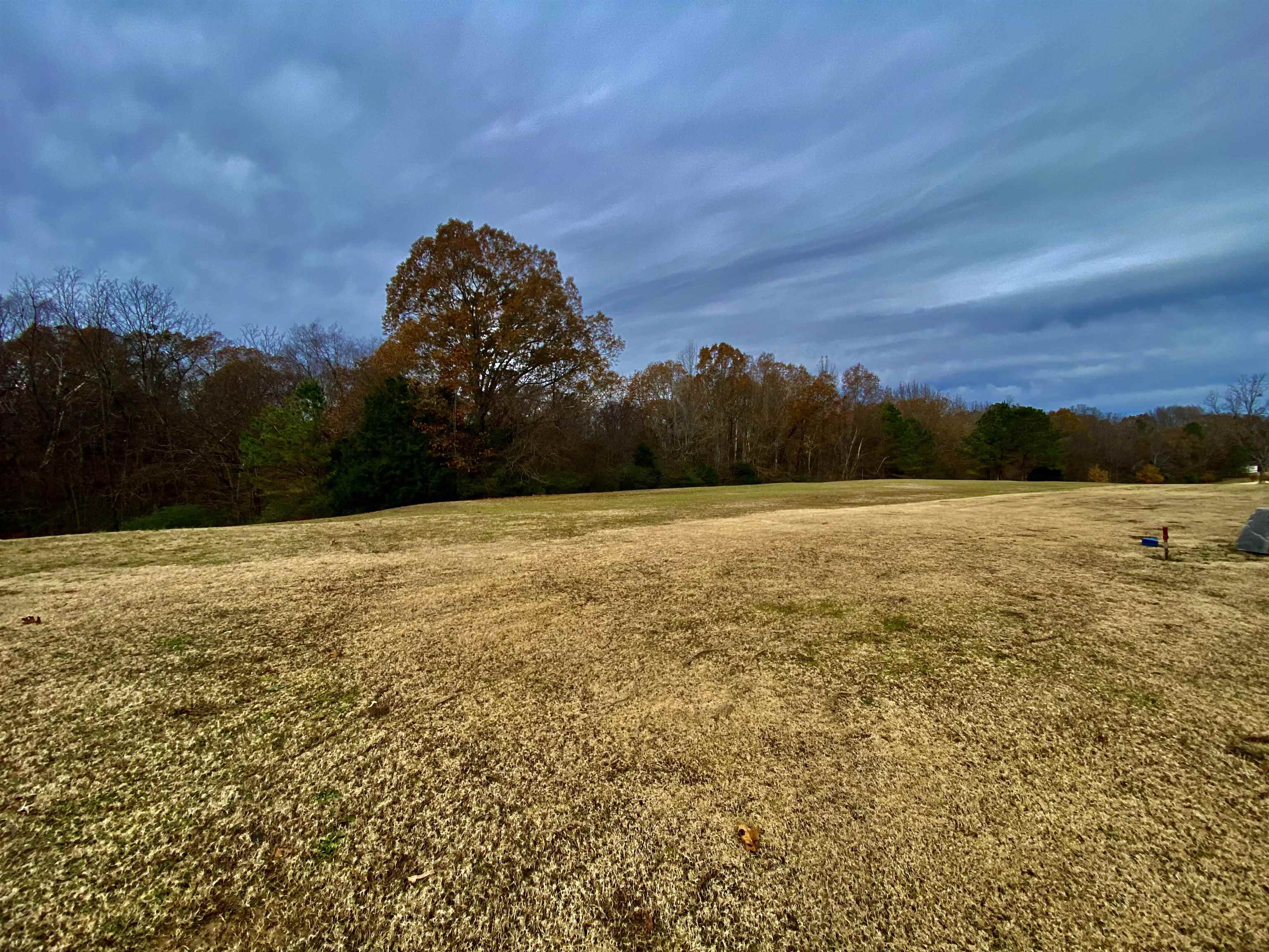 745 Shady Grove Road Williston, TN 38076 - Photo 9 of 39 Gallery Image 9