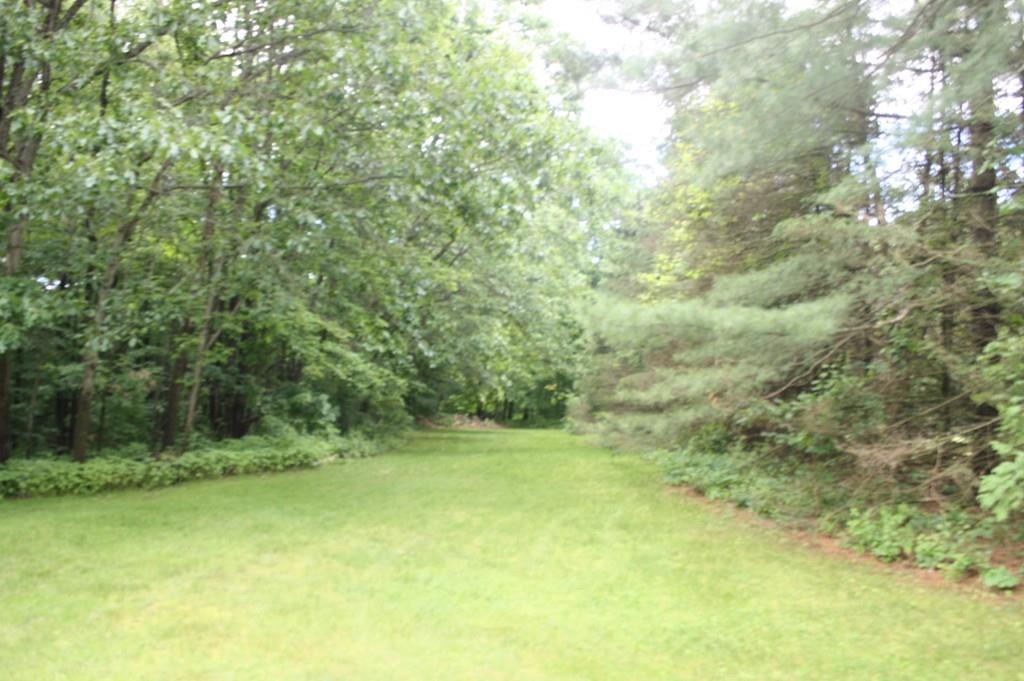 82 Stillwater Road Deerfield, MA 01373 - Photo 5 of 22 a view of a field with trees in the background
