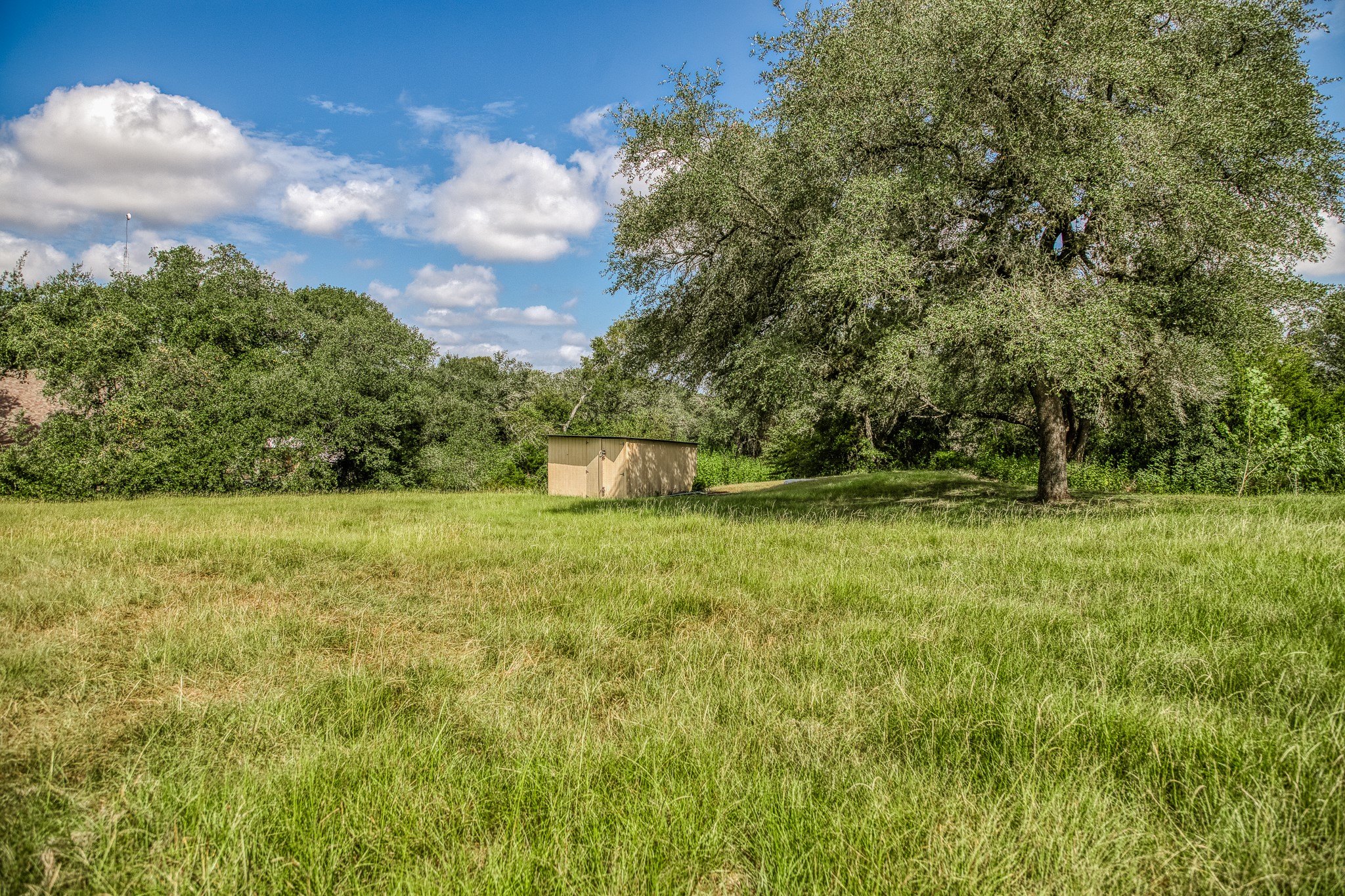 10639 Palestine Road Brenham, TX 77833 - Photo 38 of 42 a view of a garden