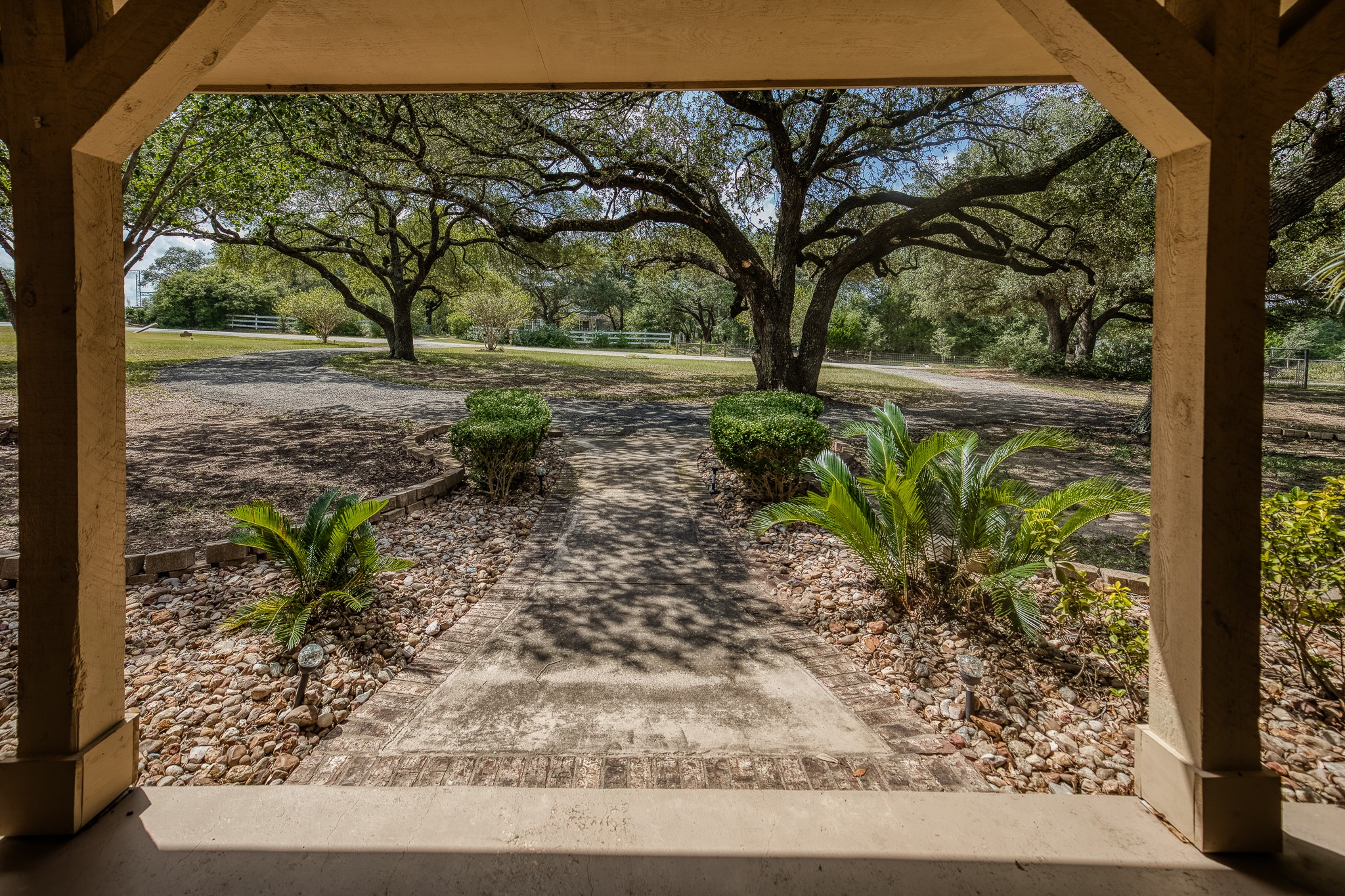 10639 Palestine Road Brenham, TX 77833 - Photo 5 of 42 a view of a yard with a tree