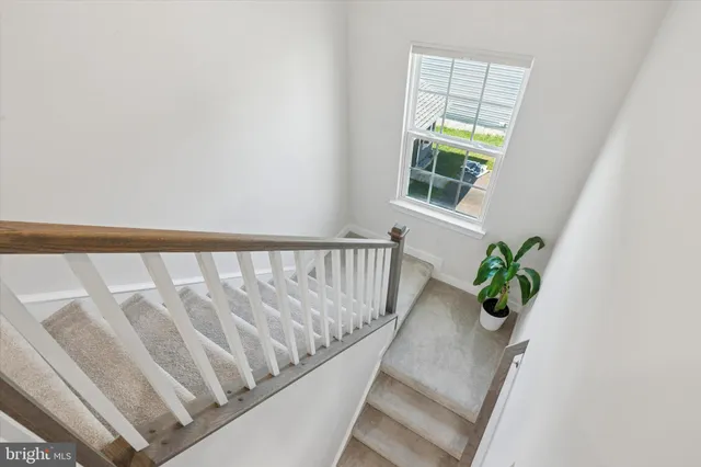 a view of staircase with window and a potted plant
