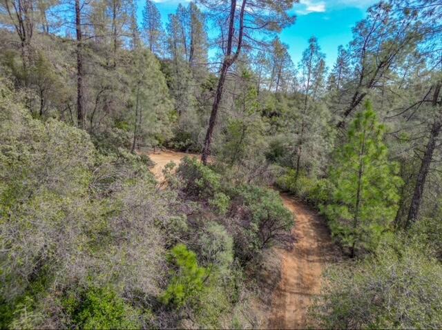 0 Quail Run Road Redding, CA 96003 - Photo 1 of 14 IMG_2869 (1)