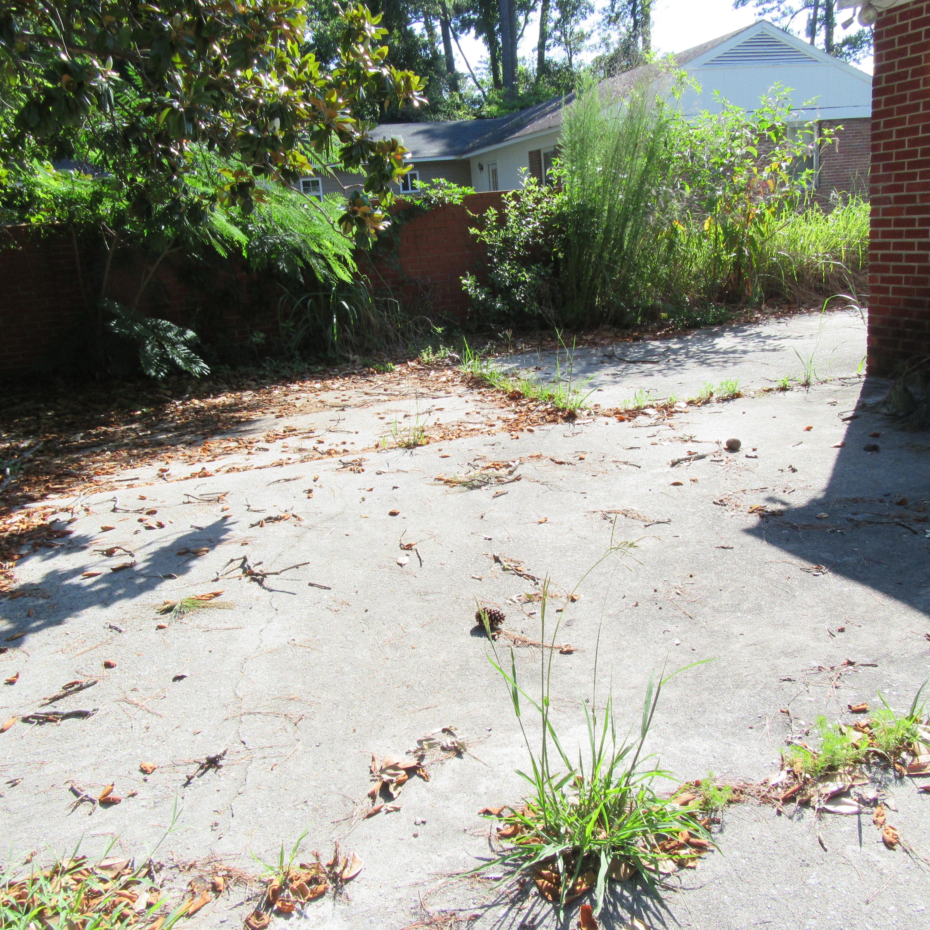 1012 Lightsey St Extension Hampton, SC 29924 - Photo 26 of 27 IMG_0931