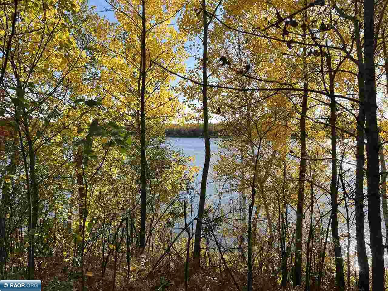 Tbd Elbow Lake Road Iron, MN 55751 - Photo 19 of 29