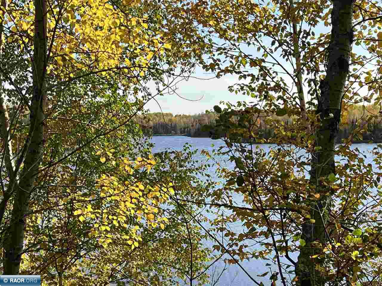 Tbd Elbow Lake Road Iron, MN 55751 - Photo 20 of 29