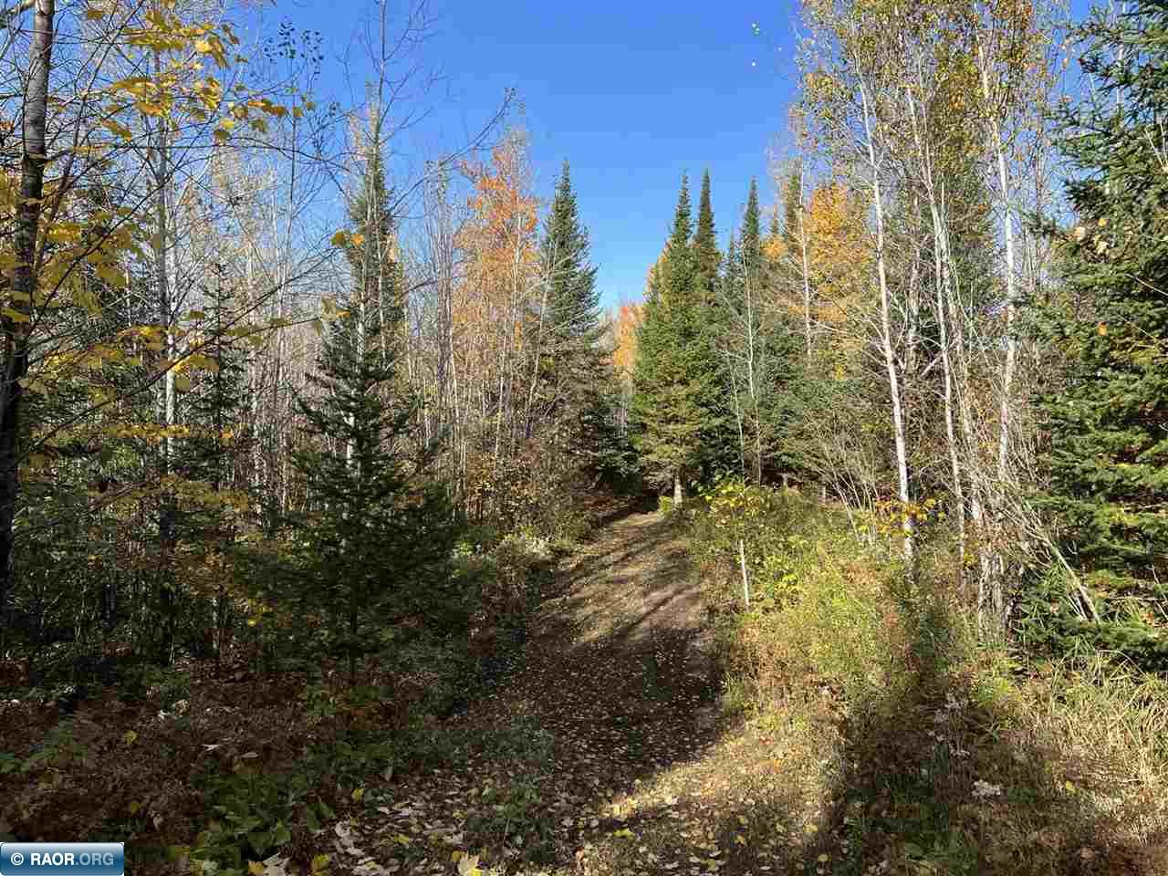 Tbd Elbow Lake Road Iron, MN 55751 - Photo 21 of 29