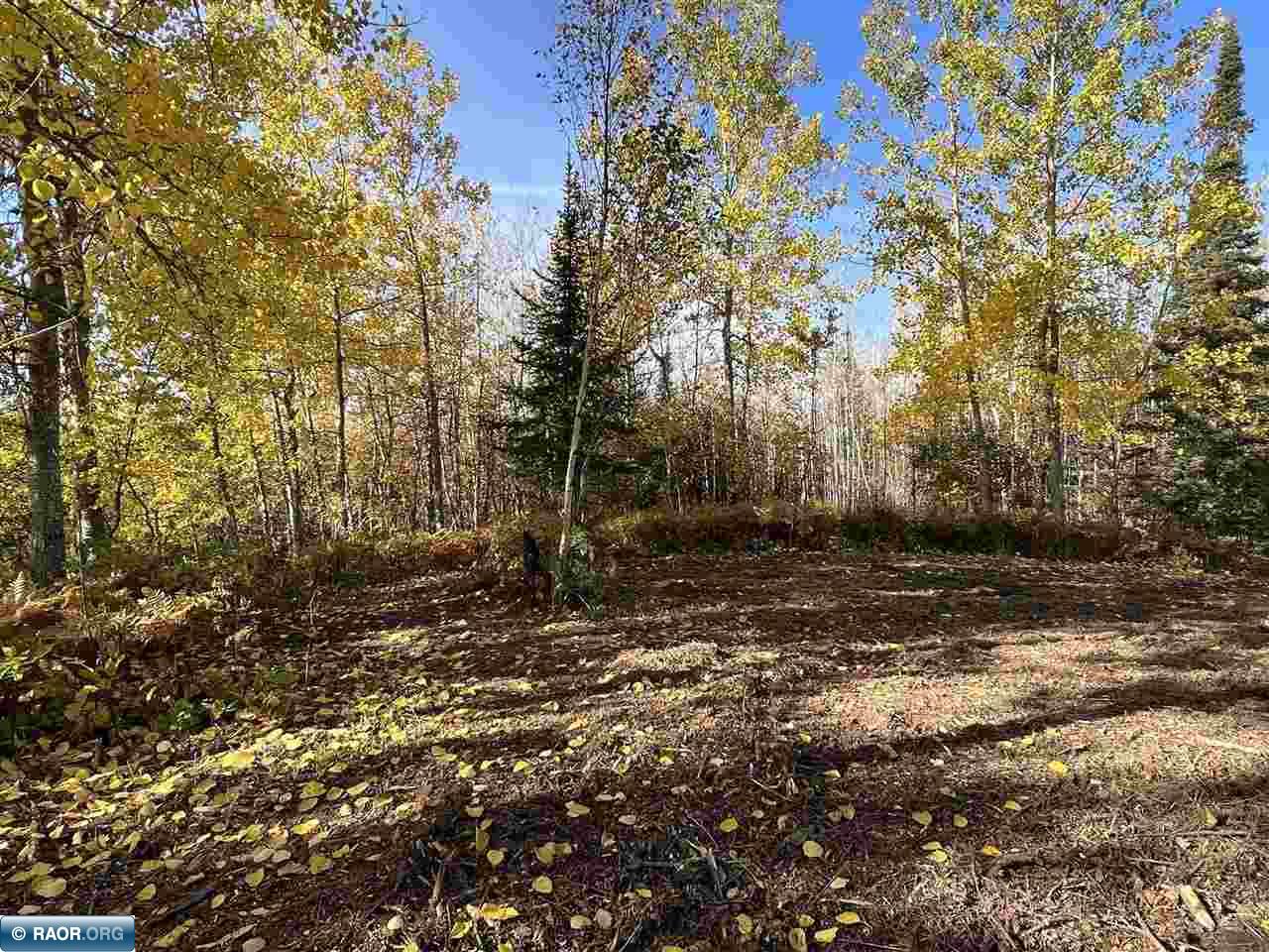 Tbd Elbow Lake Road Iron, MN 55751 - Photo 22 of 29
