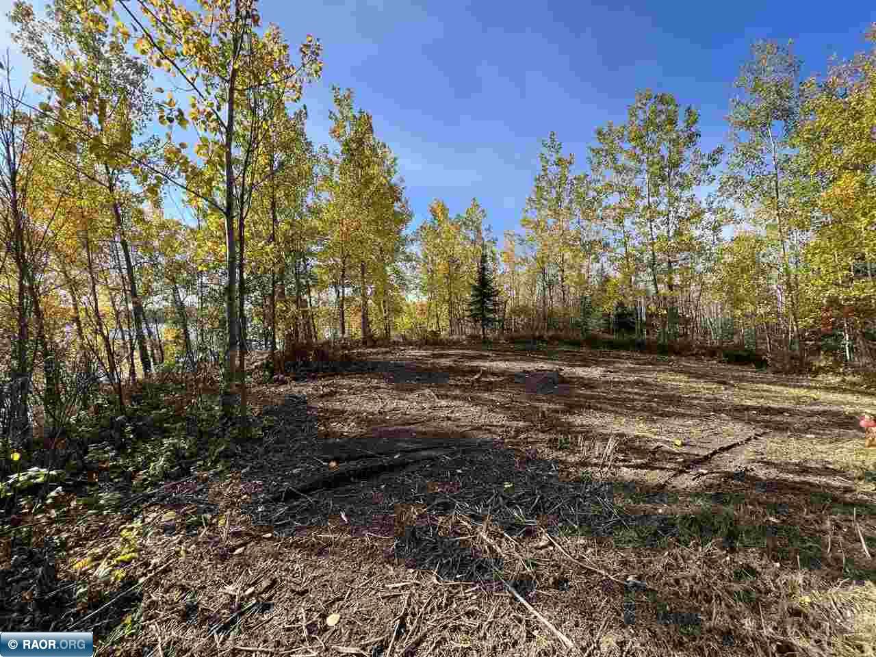 Tbd Elbow Lake Road Iron, MN 55751 - Photo 23 of 29