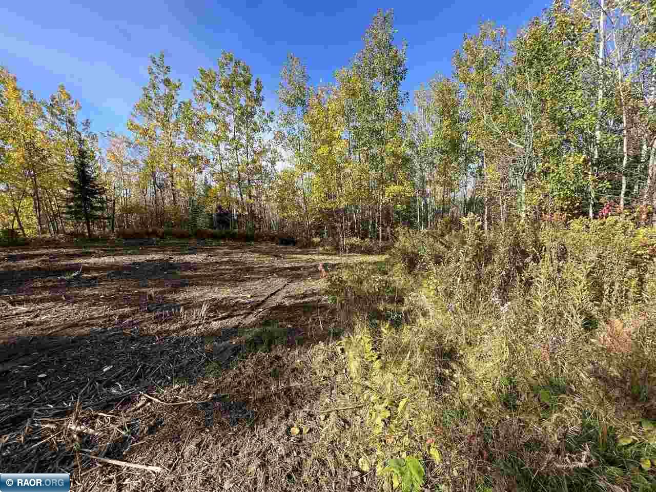 Tbd Elbow Lake Road Iron, MN 55751 - Photo 24 of 29
