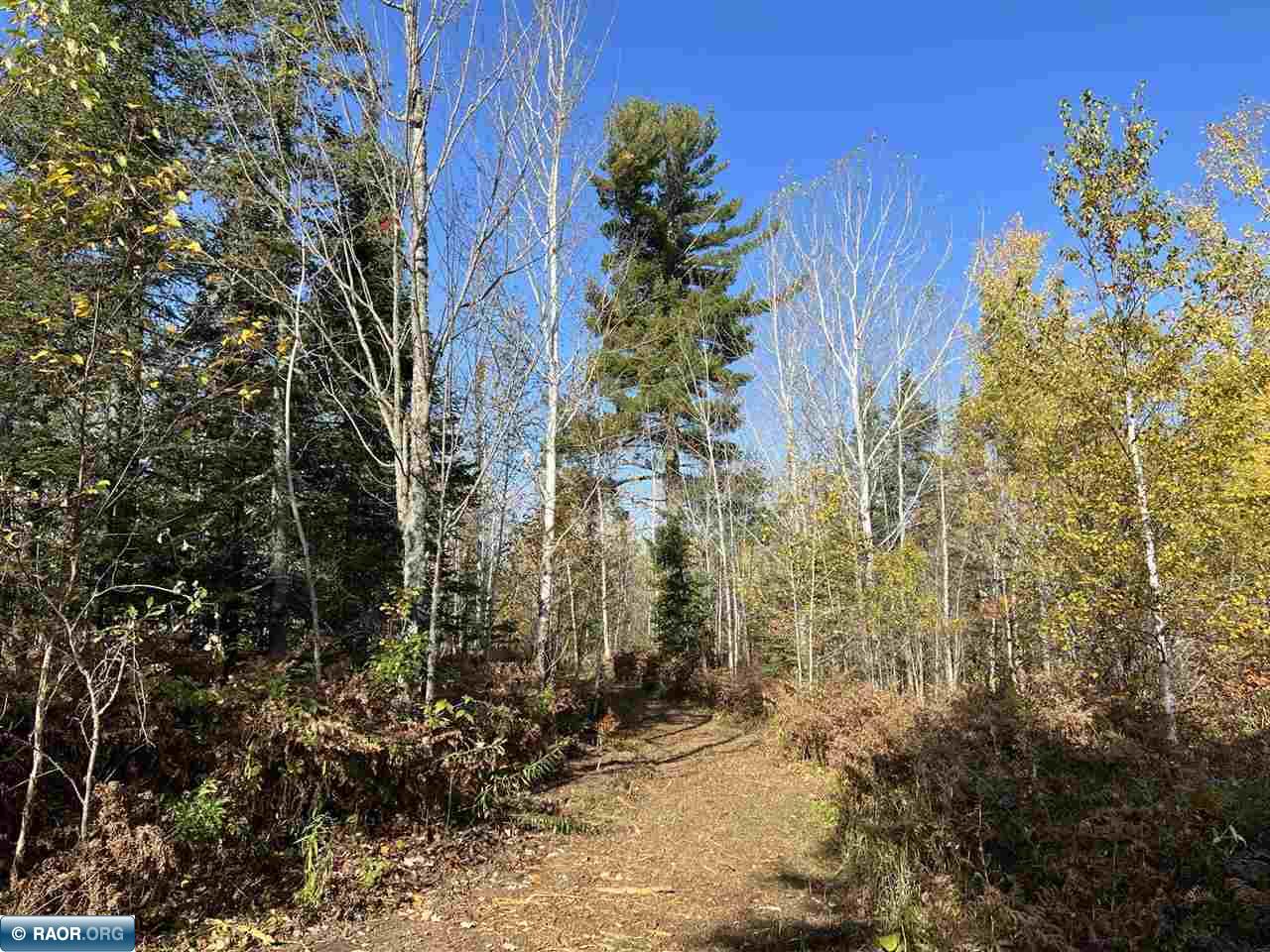 Tbd Elbow Lake Road Iron, MN 55751 - Photo 25 of 29