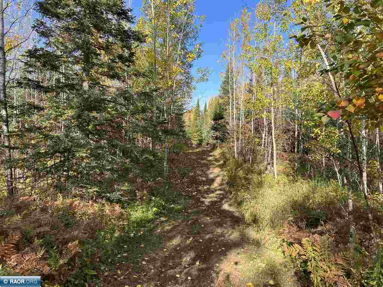 Tbd Elbow Lake Road Iron, MN 55751 - Photo 27 of 29