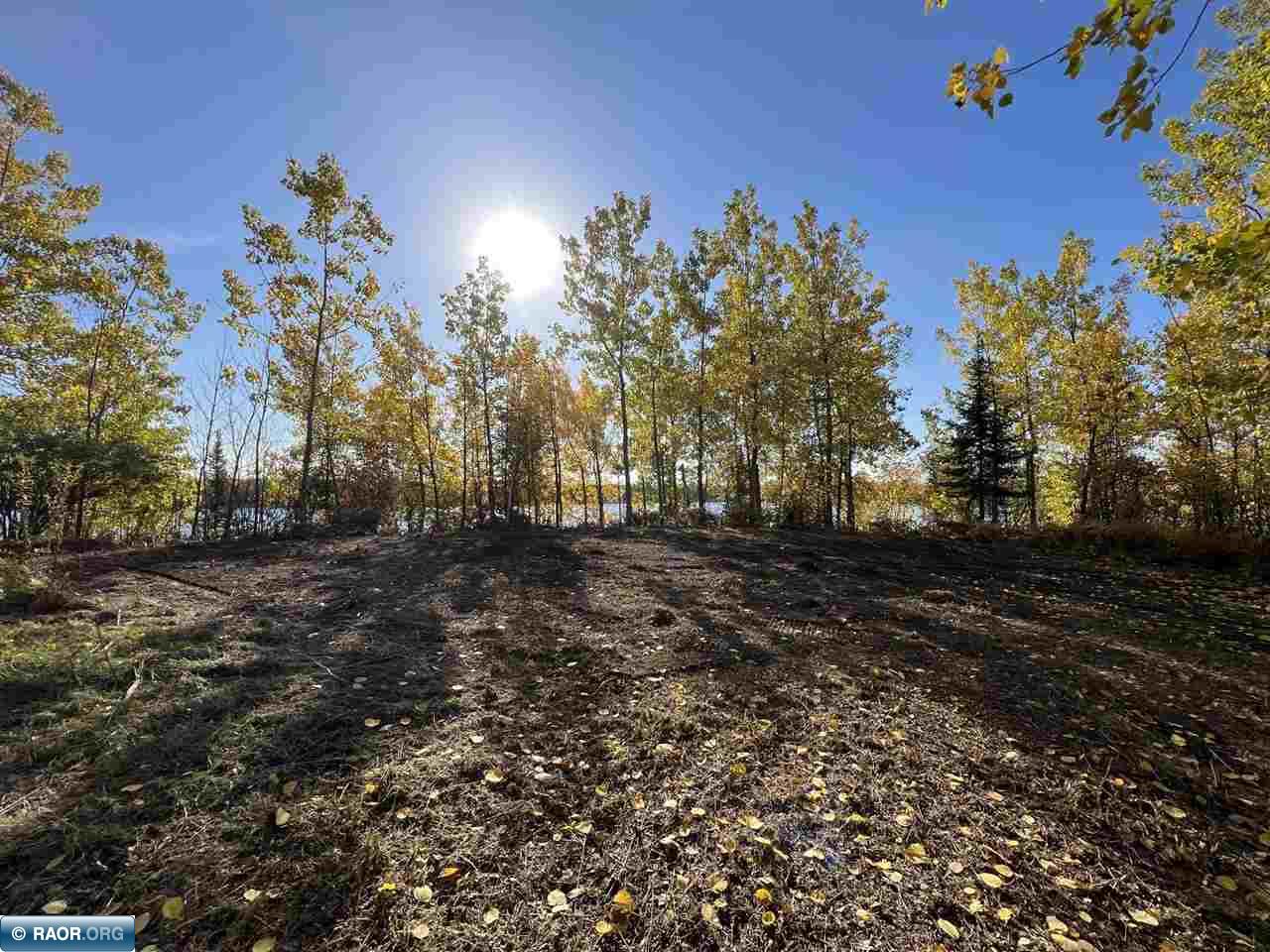 Tbd Elbow Lake Road Iron, MN 55751 - Photo 5 of 29