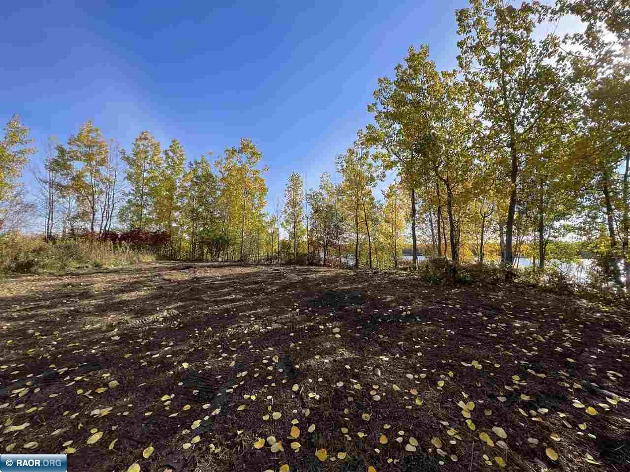 Tbd Elbow Lake Road Iron, MN 55751 - Photo 6 of 29