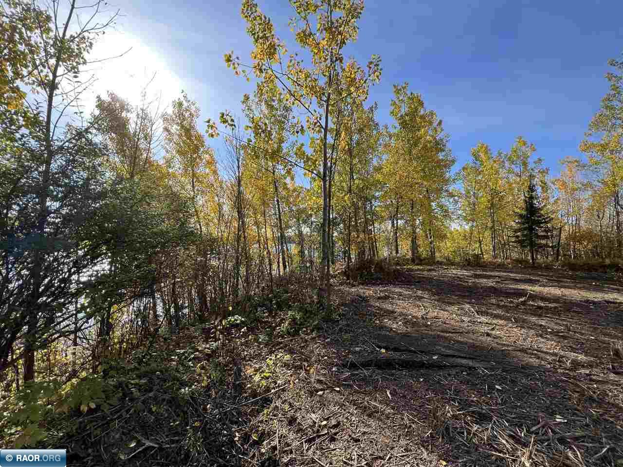 Tbd Elbow Lake Road Iron, MN 55751 - Photo 7 of 29