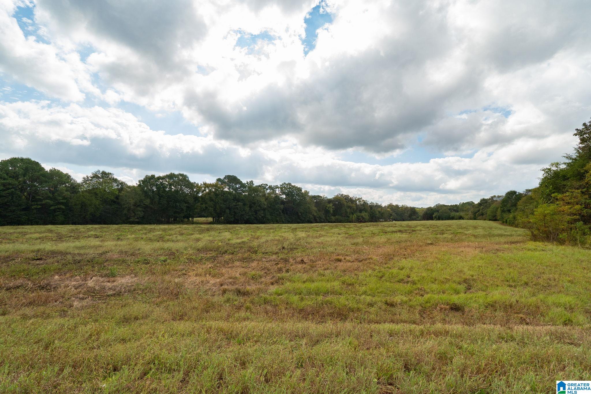 0 Allred Road, Unit PARCEL #5 Lincoln, AL 35096 - Photo 15 of 24