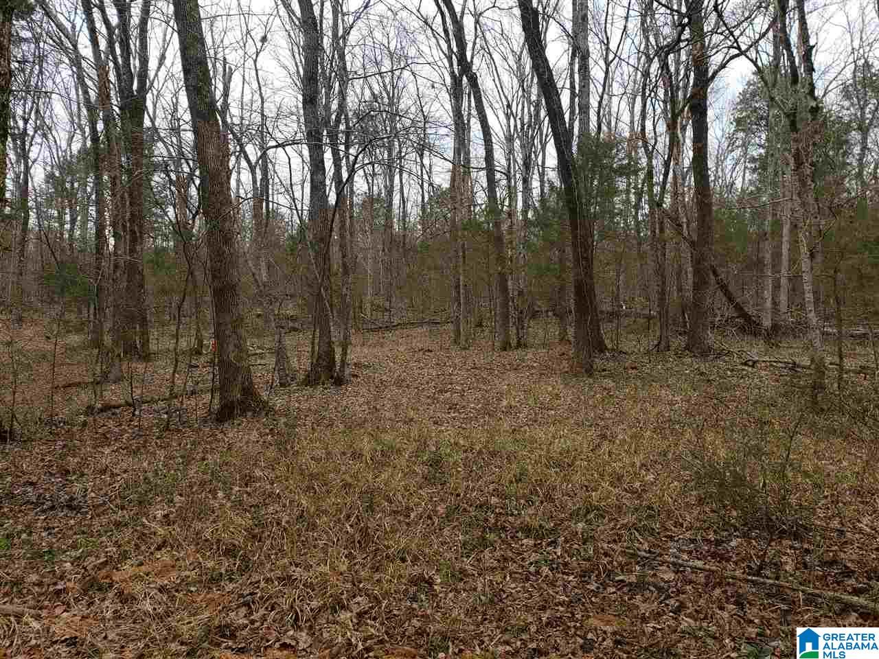 0 Remlap Drive, Unit 1 Remlap, AL 35133 - Photo 4 of 11