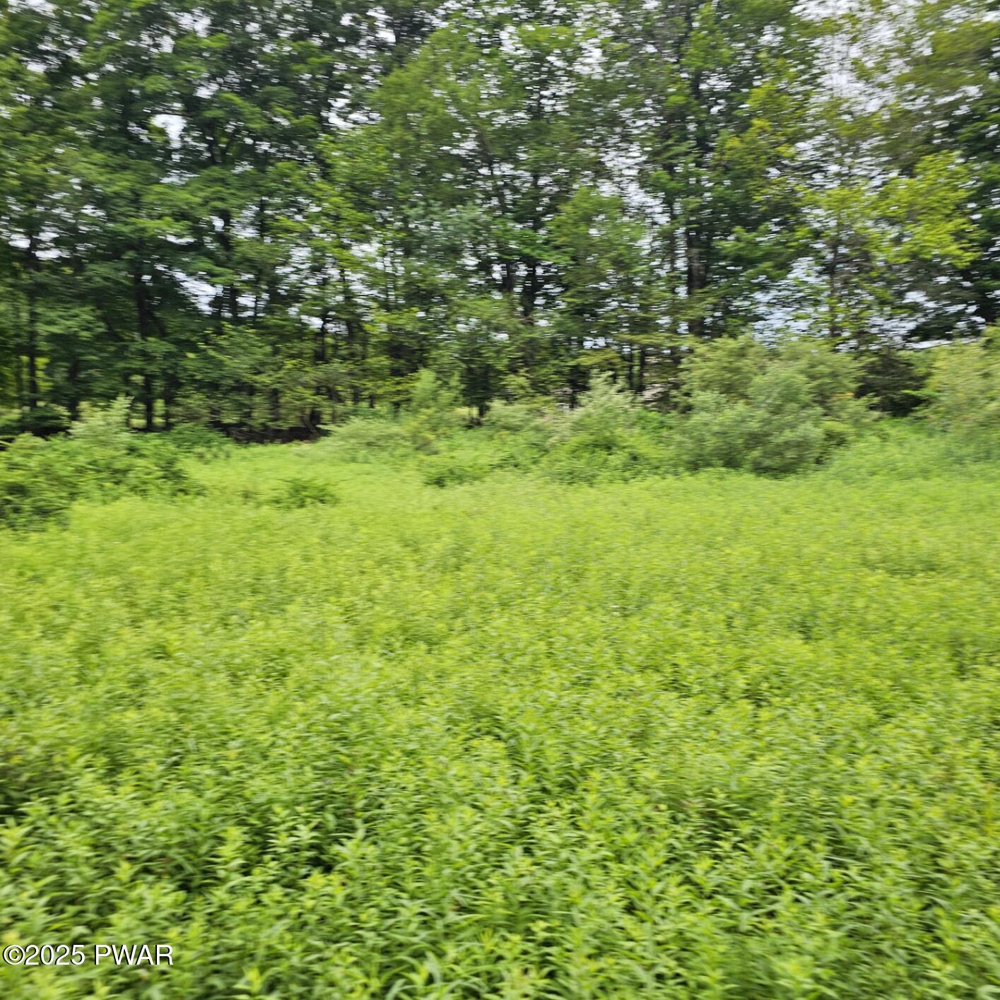Lot 45 Lake Russell Road Newfoundland, PA 18445 - Photo 4 of 11
