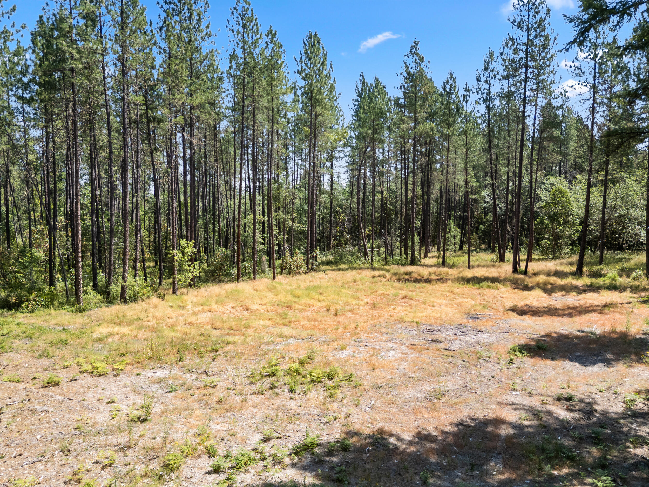 2376 Lonnon Road Grants Pass, OR 97527 - Photo 7 of 18 2376 lonnon way-dr-11