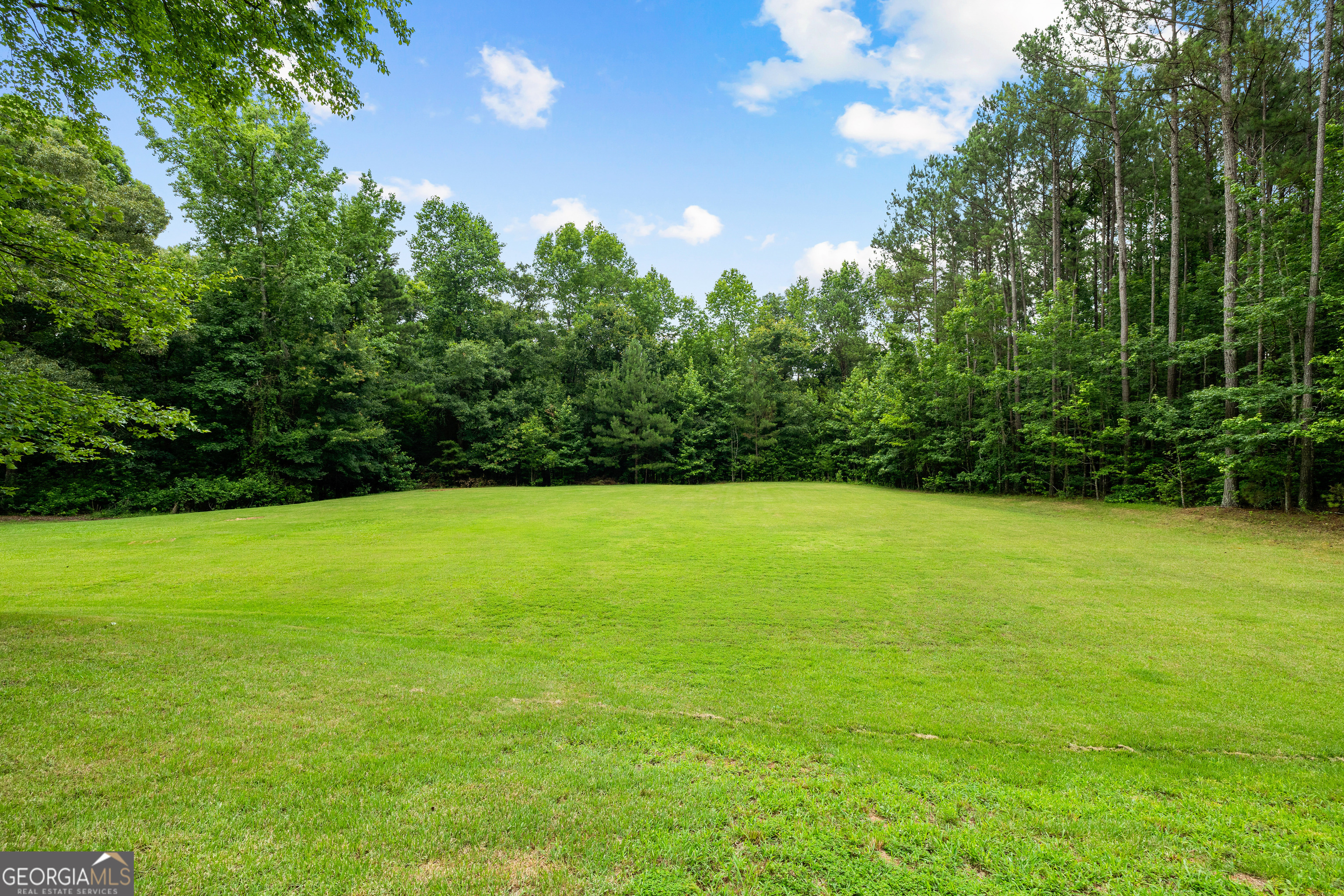 307 Malone Road Fayetteville, GA 30215 - Photo 12 of 92